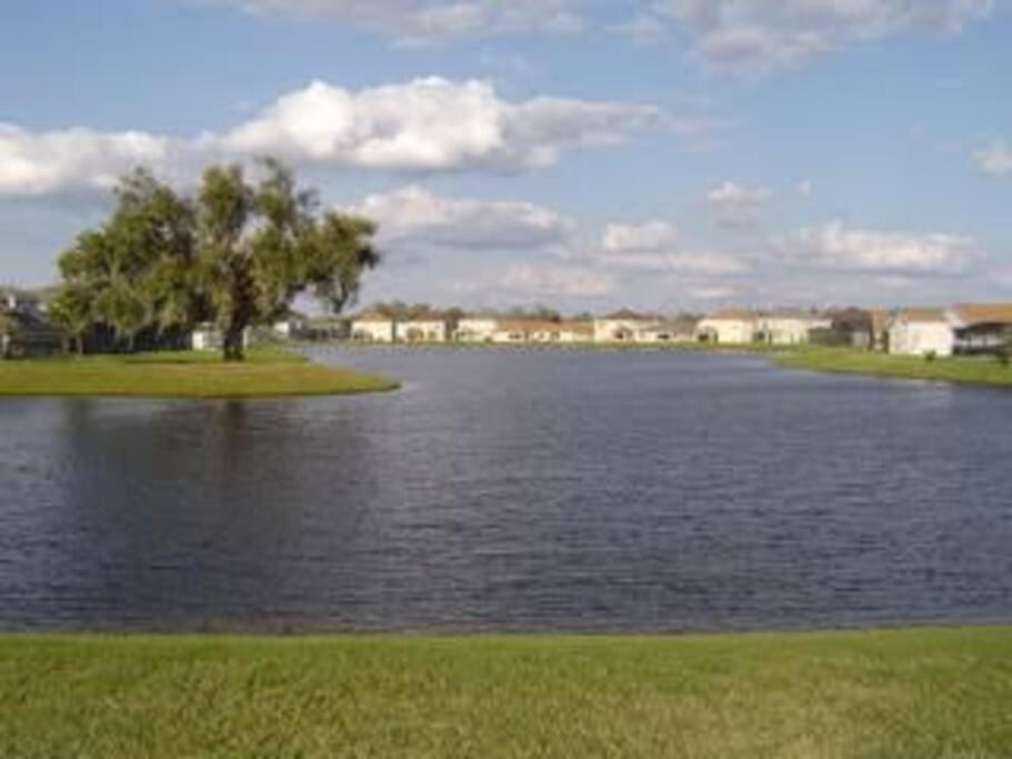 Gone 2 Florida Vacation Homes Four Corners Rom bilde
